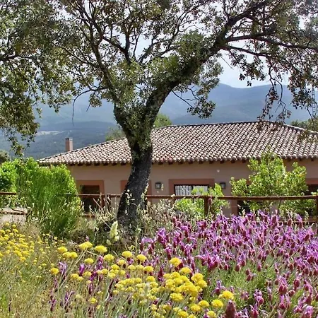 La Joyona Holiday home Los Navalucillos